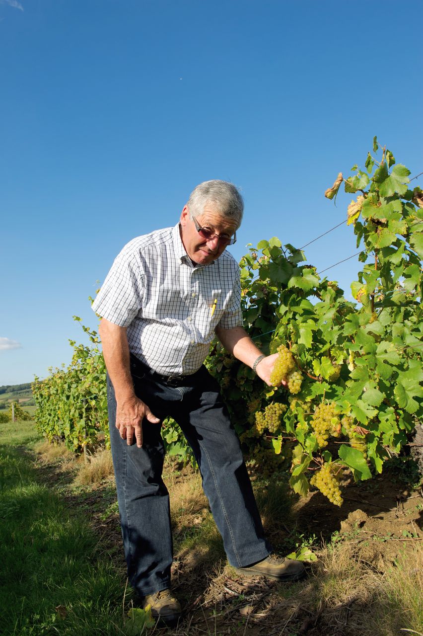 Vins Vigneron Pierre Rolet portraitPR-12